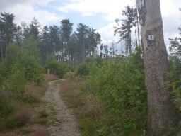Taunuskamm 2023