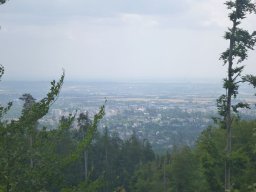 Taunuskamm 2023